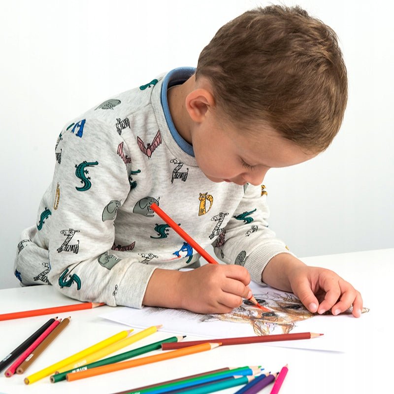 Kredki kołówkowe 24 sztuk