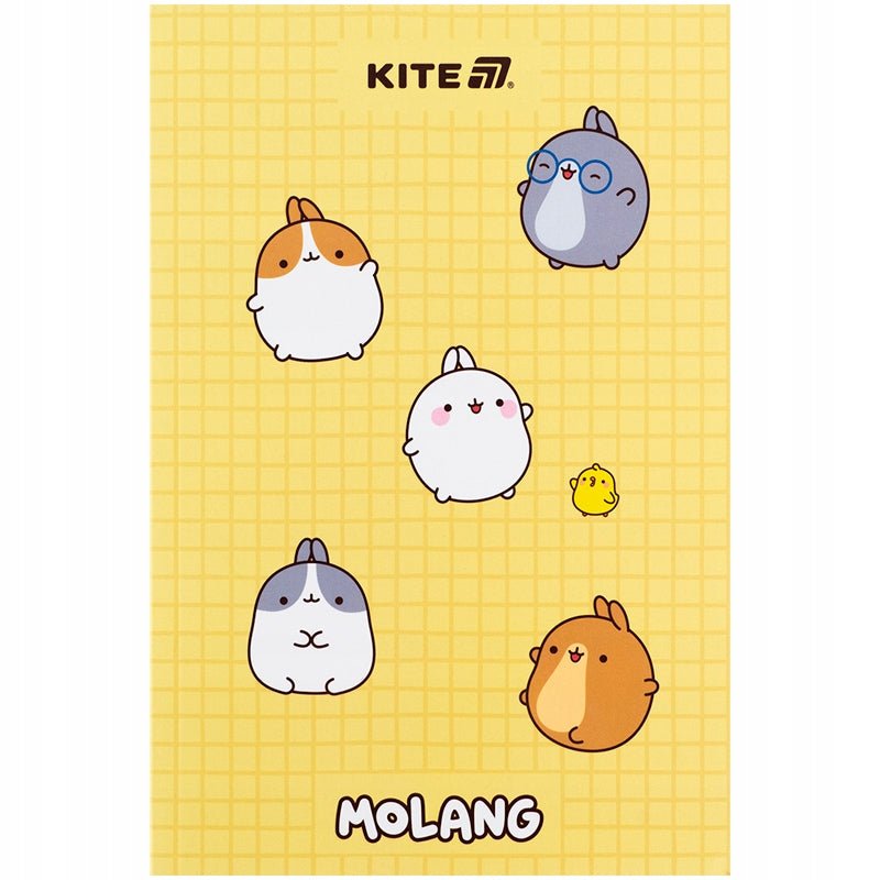 Notes 64 kartki A5 Molang Kite