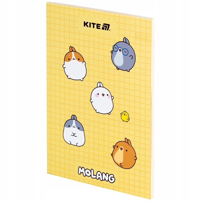 Notes 64 kartki A5 Molang Kite