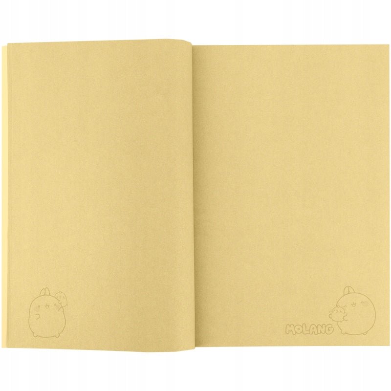 Notes 64 kartki A5 Molang Kite