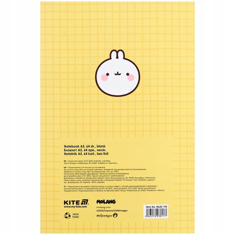 Notes 64 kartki A5 Molang Kite