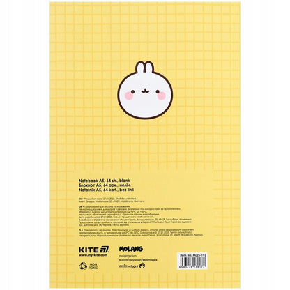 Notes 64 kartki A5 Molang Kite