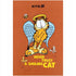 Notes 64 kartki A5 Garfield Kite
