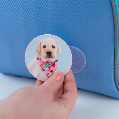 Naszywka 3D Studio Pets Kite trzymana w dłoniach